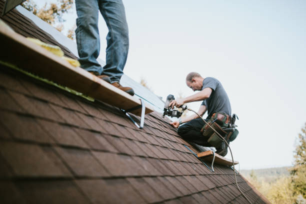 Fast & Reliable Emergency Roof Repairs in Ravenna, MI